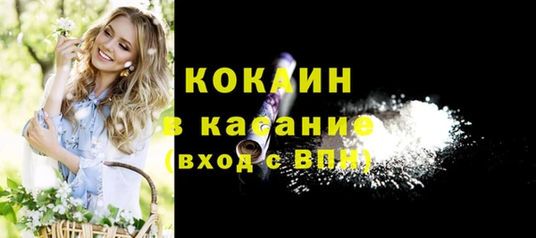 шишки Кукмор