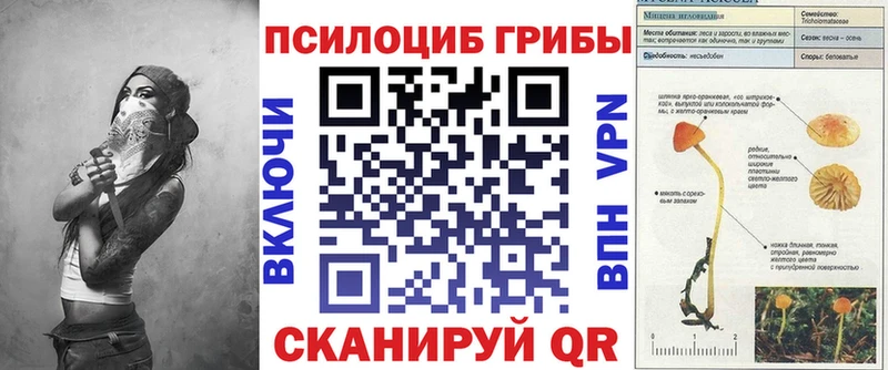 Купить закладки  Асино  Галлюциногенные грибы мухоморы 