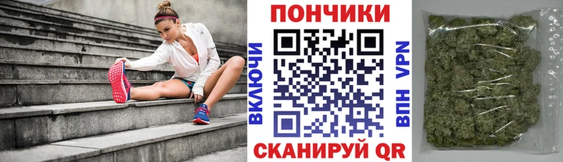 Купить  Асино  МАРИХУАНА гибрид 